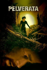 Pelverata poster