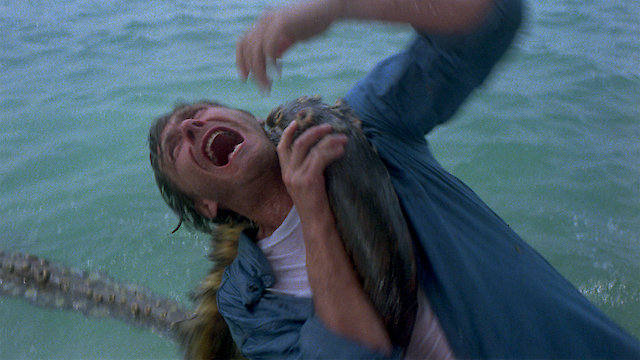 Watch Monster Shark Online