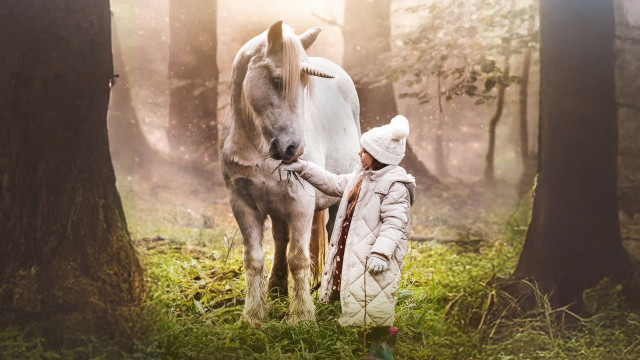 Watch Tale of the Forest Unicorn Online