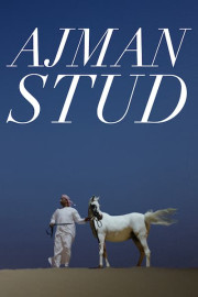 Ajman Stud poster