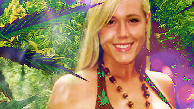 Watch Miss High Times 2008 Online