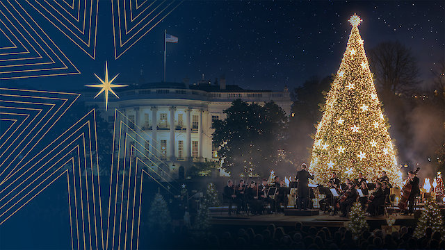 Watch 2025 National Christmas Tree Lighting Online