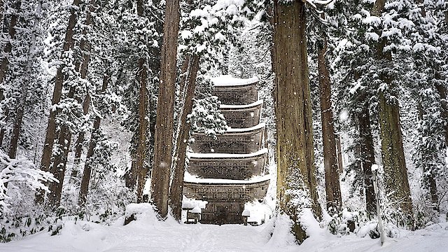 Watch Dewa Sanzan: Who will save the sacred mountains? Online