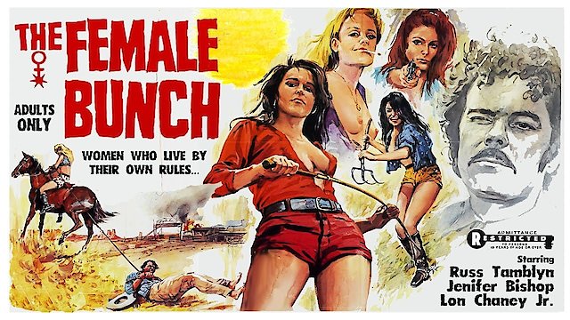 Watch The Female Bunch Online