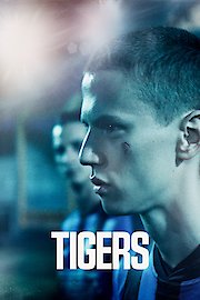 Tigers