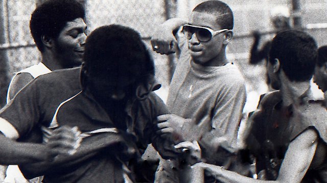 Watch The Deadly Art of Survival Online