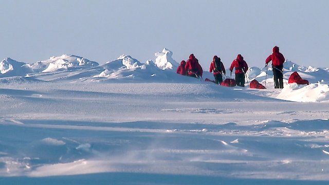 Watch A Royal Year to Remember Online