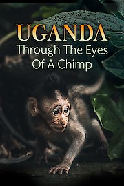 Uganda Through the Eyes of a Chimp poster