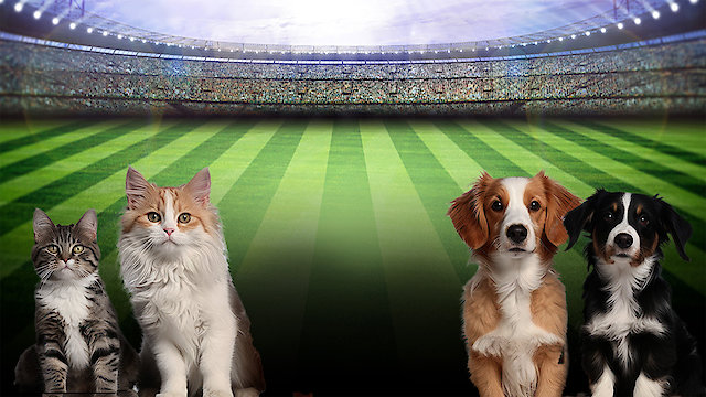 Watch Great American Rescue Bowl 2025 Online