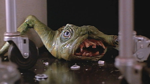 Watch The Alien Factor Metamorphosis Online