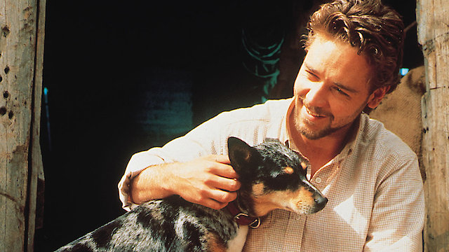 Watch SILVER BRUMBY, THE Online