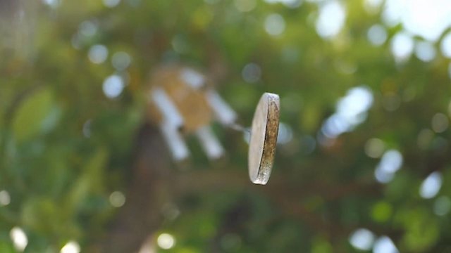 Watch Zen Nature Sounds: Soothing Wind Chimes Online