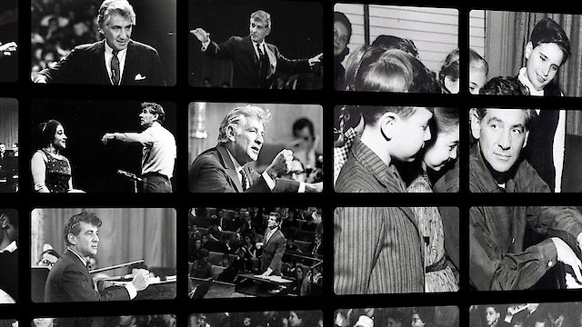 Watch A Tribute to Sibelius Online