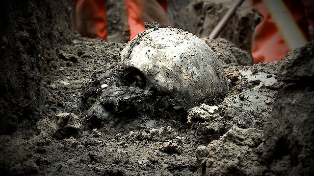 Watch Mystery Of The Roman Skulls Online