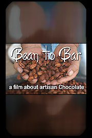 Bean to Bar, a film about Artisan Chocolate poster