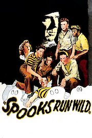 Spooks Run Wild poster