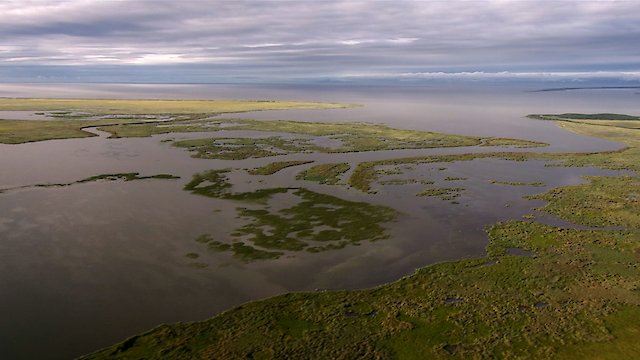 Watch Lake Magic Online