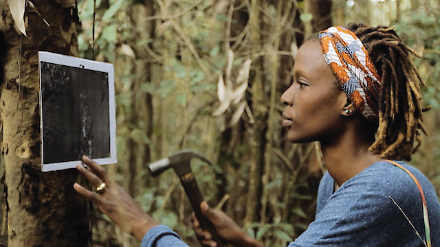 Watch Waithira Online