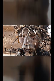 The Mask from San (Le Masque de San)