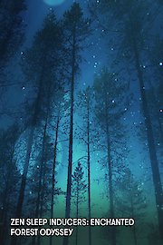 Zen Sleep Inducers: Enchanted Forest Odyssey poster