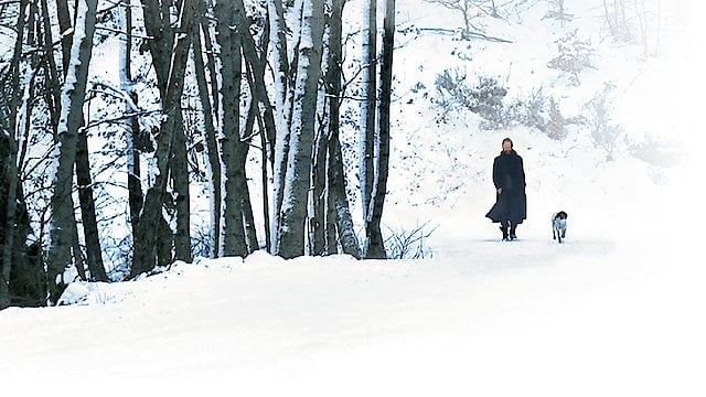 Watch Sting: A Winter Online