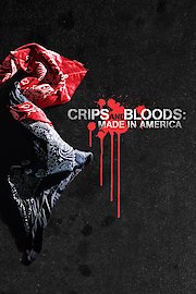 Crips and Bloods: Made in America poster