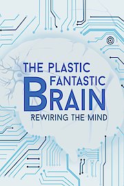 The Plastic Fantastic Brain poster