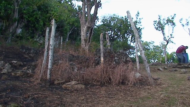 Watch Akwantu: The Journey Online