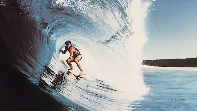 Watch Totally Committed Online