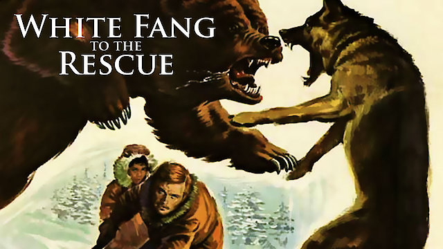 Watch White Fang to the Rescue Online