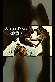 White Fang to the Rescue (Zanna Bianca alla riscossa)