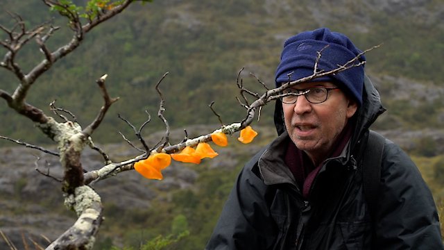 Watch The Lost Island of Madre de Dios Online