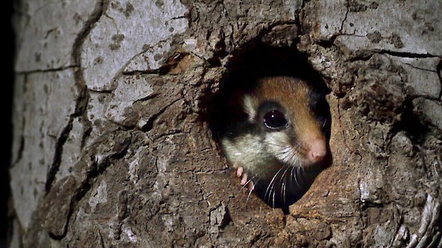 Watch Slow Down And Enjoy Life Online