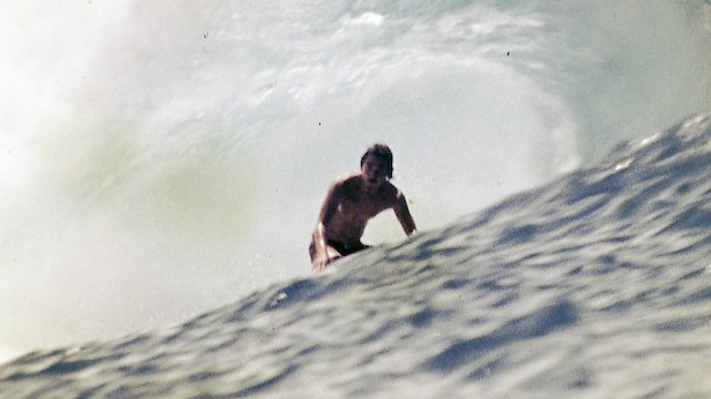 Watch Island Magic Online