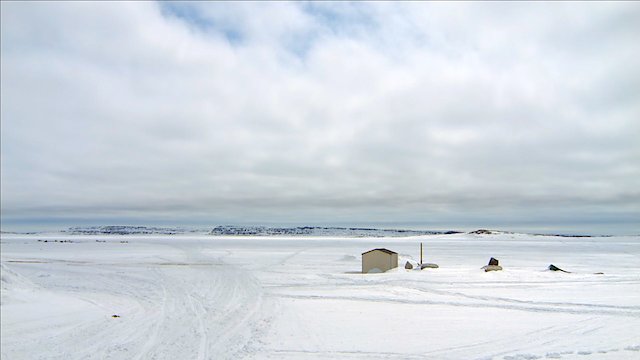 Watch Those Who Come, Will Hear Online