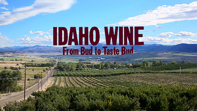 Watch Idaho Wine, From Bud to Taste Bud Online