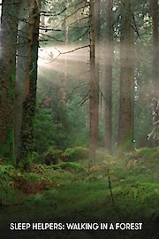 Sleep Helpers: Walking in a Forest
