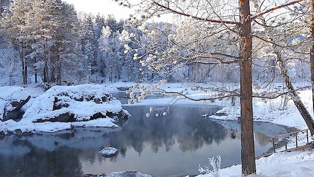 Watch A Natural Christmas Online