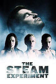 The Chaos Experiment poster