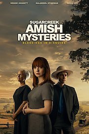 Sugar Creek Amish Mysteries: Blessings in Disguise