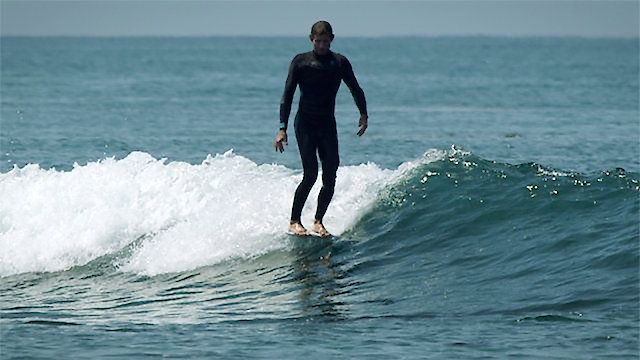 Watch The Ductumentary Online