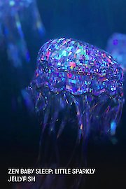 Zen Baby Sleep: Little Sparkly Jellyfish poster