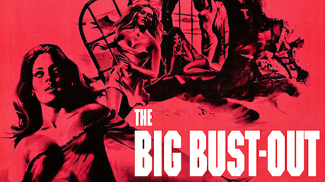 Watch The Big Bust-Out Online