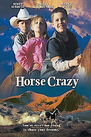 Locos por los caballos poster