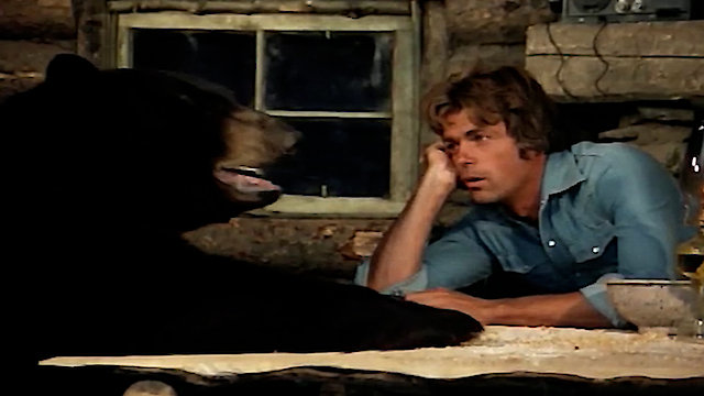 Watch Adventures of the Wilderness Family Online