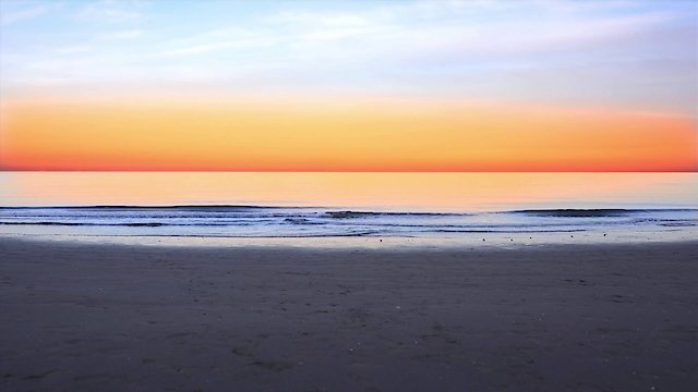 Watch Zen Wellness: Tranquility Online