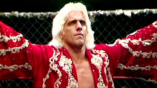 Watch WWE Nature Boy Ric Flair - The Definitive Collection Online