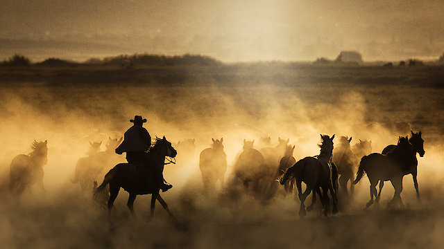 Watch Freedom on the Range Online