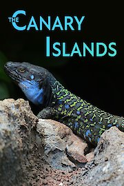 The Canary Islands - In the shadows of volcanoes