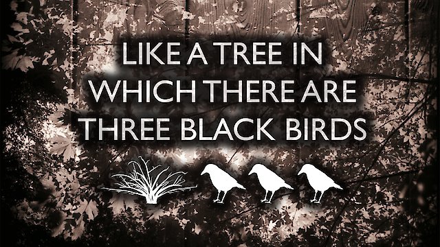 Watch Like a Tree in Which There are Three Black Birds Online